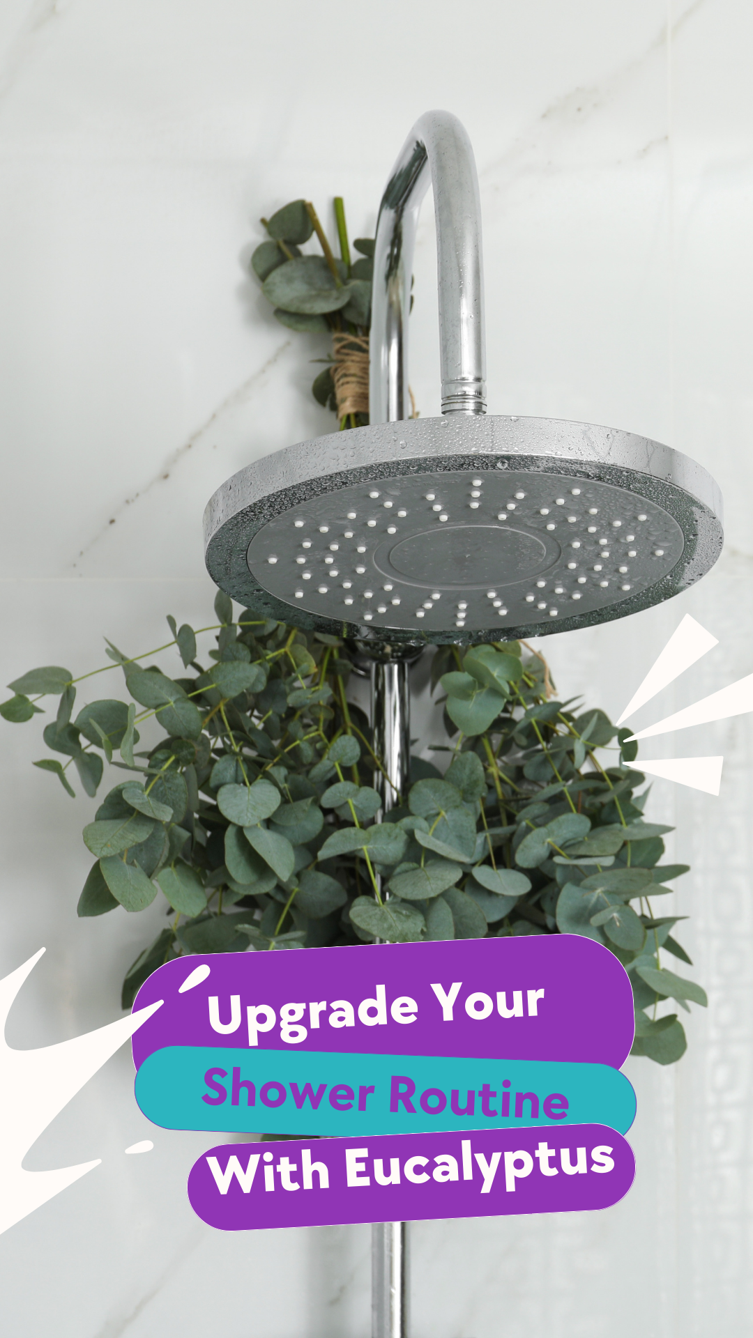 Upgrade Your Shower Routine with the Refreshing Benefits of Eucalyptus